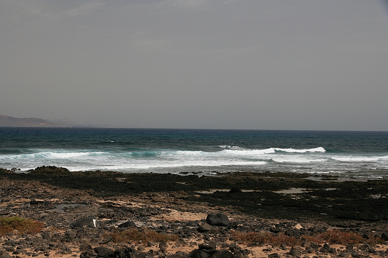 Kanary_2010 107
